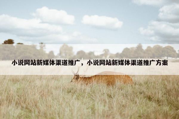 小说网站新媒体渠道推广，小说网站新媒体渠道推广方案