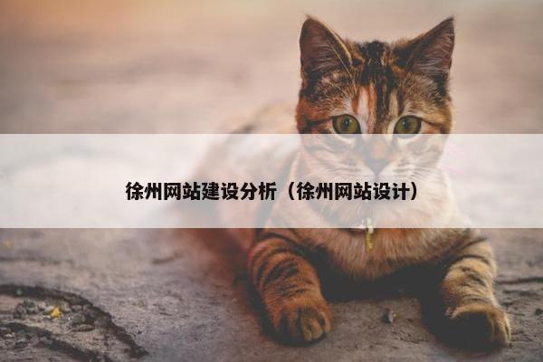 徐州网站建设分析（徐州网站设计）