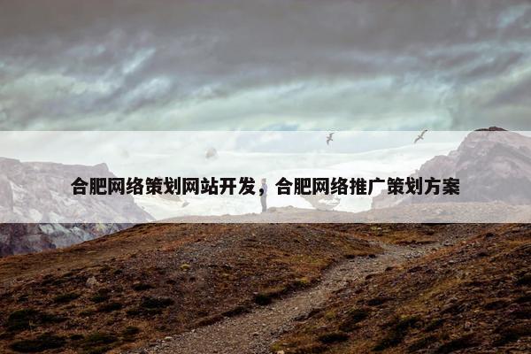 合肥网络策划网站开发，合肥网络推广策划方案