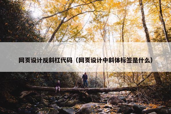 网页设计反斜杠代码（网页设计中斜体标签是什么）
