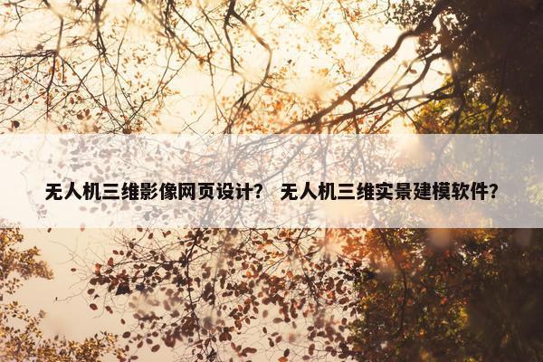 无人机三维影像网页设计？ 无人机三维实景建模软件？