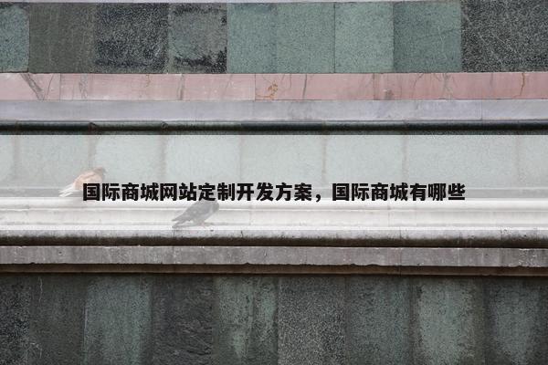 国际商城网站定制开发方案，国际商城有哪些