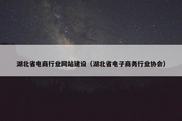 湖北省电商行业网站建设（湖北省电子商务行业协会）