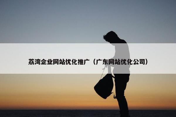 荔湾企业网站优化推广（广东网站优化公司）