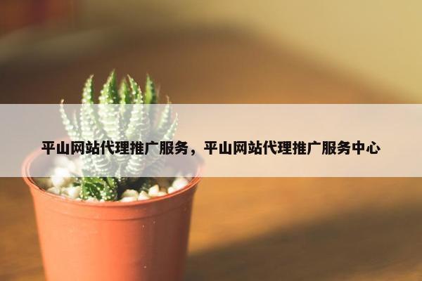 平山网站代理推广服务，平山网站代理推广服务中心