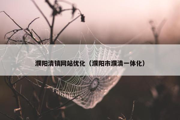 濮阳清镇网站优化（濮阳市濮清一体化）
