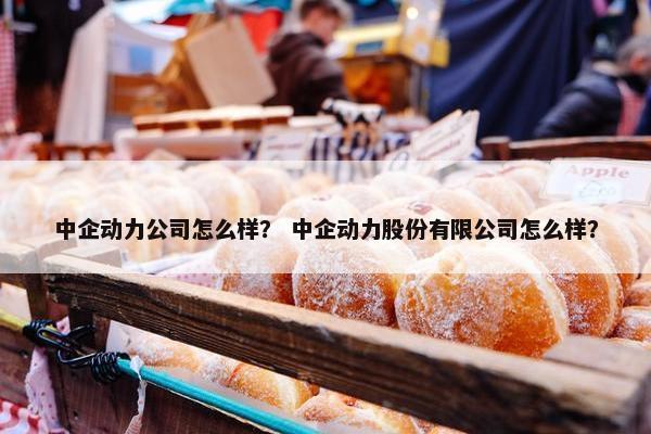 中企动力公司怎么样？ 中企动力股份有限公司怎么样？