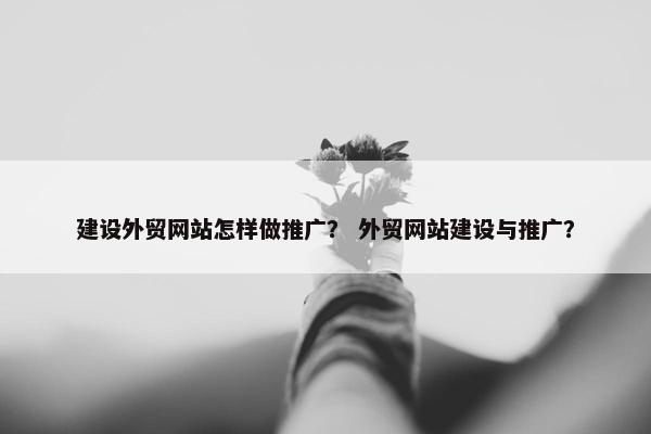 建设外贸网站怎样做推广？ 外贸网站建设与推广？