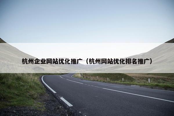 杭州企业网站优化推广（杭州网站优化排名推广）