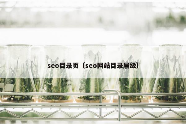 seo目录页（seo网站目录层级）