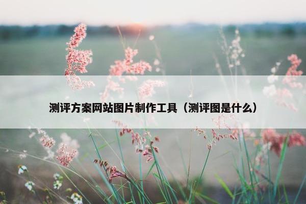 测评方案网站图片制作工具（测评图是什么）