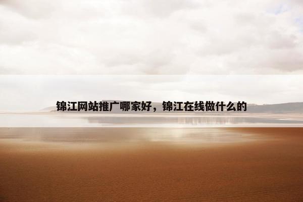 锦江网站推广哪家好，锦江在线做什么的