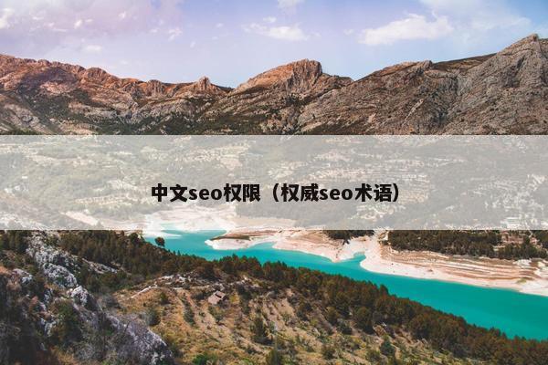 中文seo权限（权威seo术语）