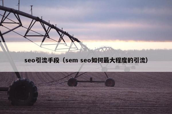 seo引流手段（sem seo如何最大程度的引流）