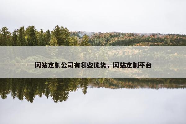 网站定制公司有哪些优势，网站定制平台