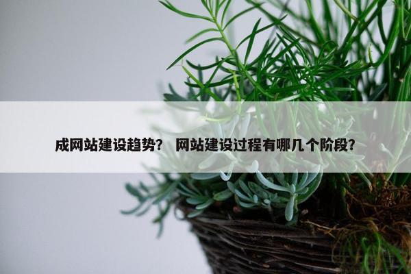 成网站建设趋势？ 网站建设过程有哪几个阶段？