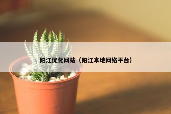 阳江优化网站（阳江本地网络平台）