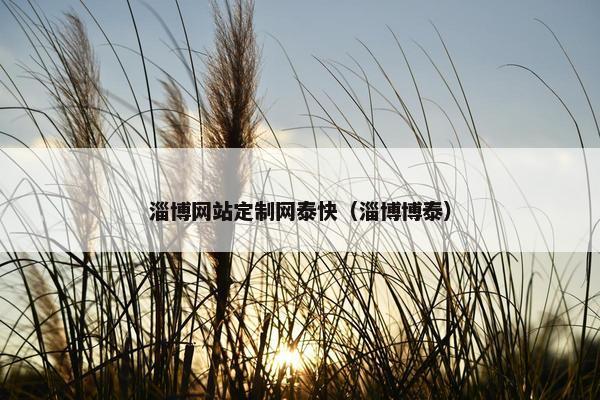 淄博网站定制网泰快（淄博博泰）