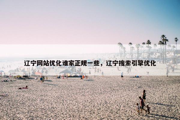 辽宁网站优化谁家正规一些，辽宁搜索引擎优化