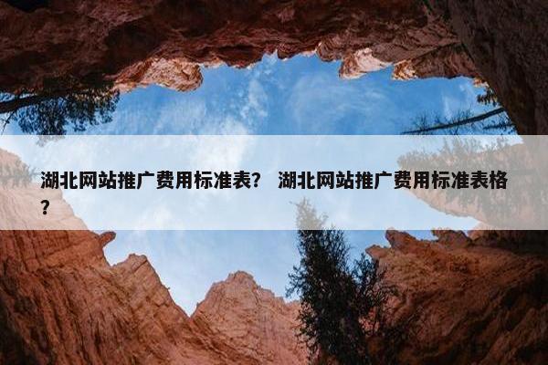 湖北网站推广费用标准表？ 湖北网站推广费用标准表格？
