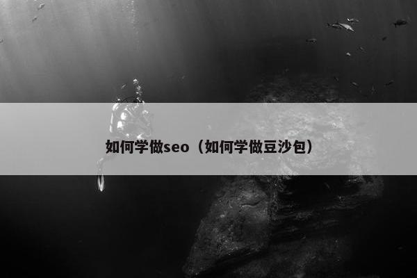 如何学做seo（如何学做豆沙包）