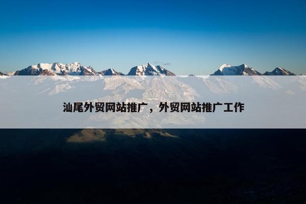 汕尾外贸网站推广，外贸网站推广工作