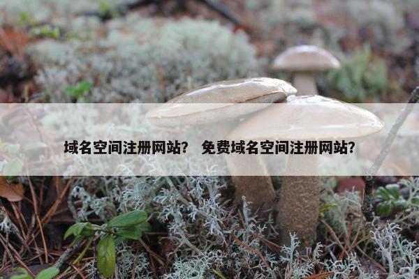 域名空间注册网站？ 免费域名空间注册网站？