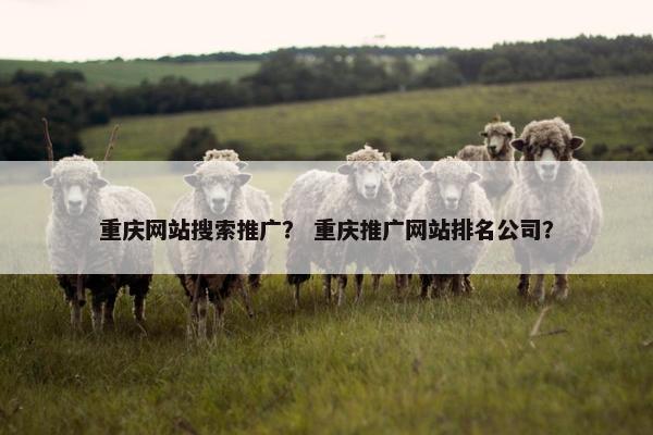 重庆网站搜索推广？ 重庆推广网站排名公司？