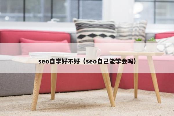 seo自学好不好（seo自己能学会吗）