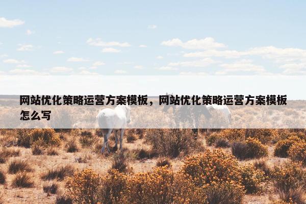 网站优化策略运营方案模板，网站优化策略运营方案模板怎么写