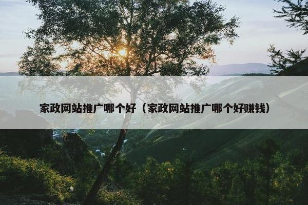 家政网站推广哪个好（家政网站推广哪个好赚钱）
