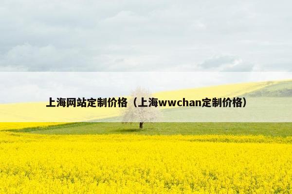 上海网站定制价格（上海wwchan定制价格）