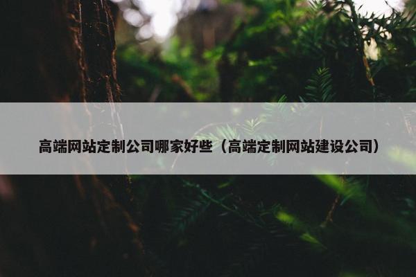 高端网站定制公司哪家好些（高端定制网站建设公司）