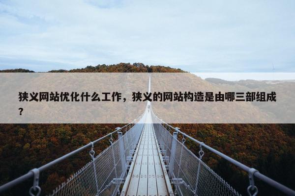 狭义网站优化什么工作，狭义的网站构造是由哪三部组成?