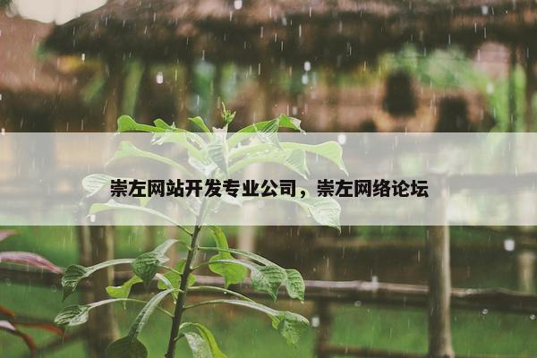崇左网站开发专业公司，崇左网络论坛