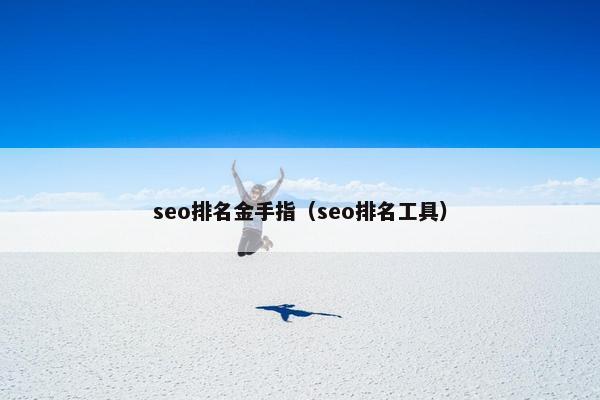 seo排名金手指（seo排名工具）