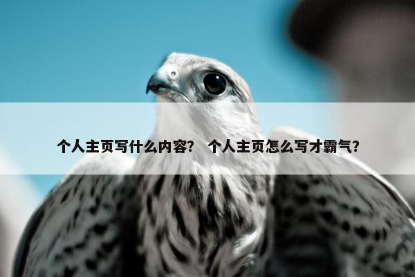 个人主页写什么内容？ 个人主页怎么写才霸气？