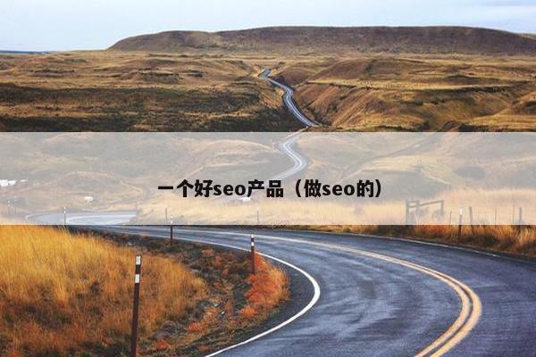 一个好seo产品（做seo的）