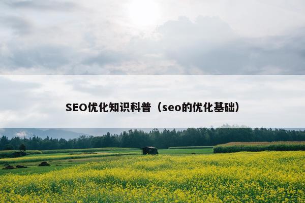 SEO优化知识科普（seo的优化基础）
