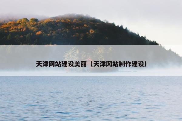 天津网站建设美丽（天津网站制作建设）