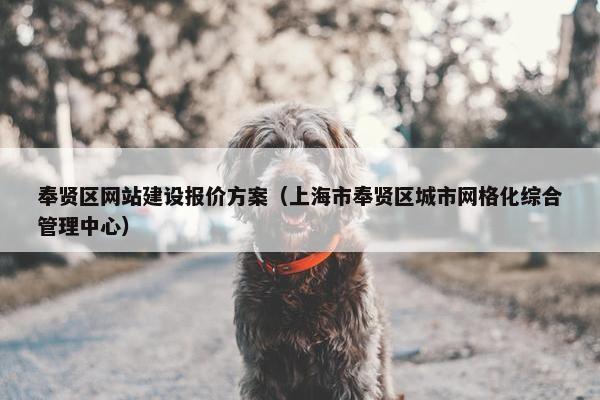 奉贤区网站建设报价方案（上海市奉贤区城市网格化综合管理中心）