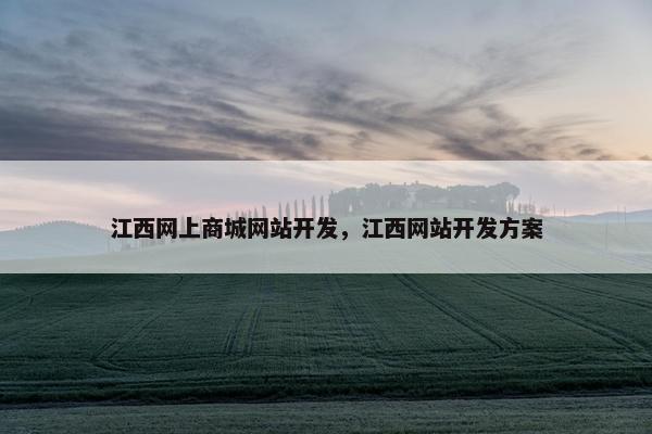 江西网上商城网站开发，江西网站开发方案