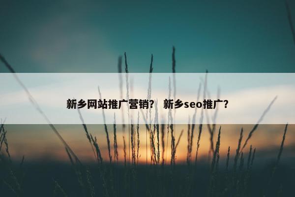 新乡网站推广营销？ 新乡seo推广？