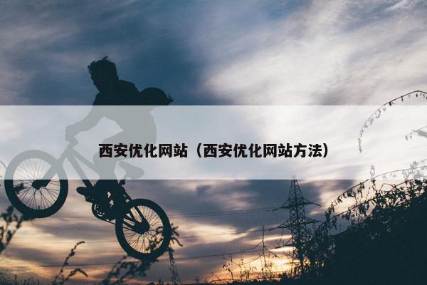 西安优化网站（西安优化网站方法）