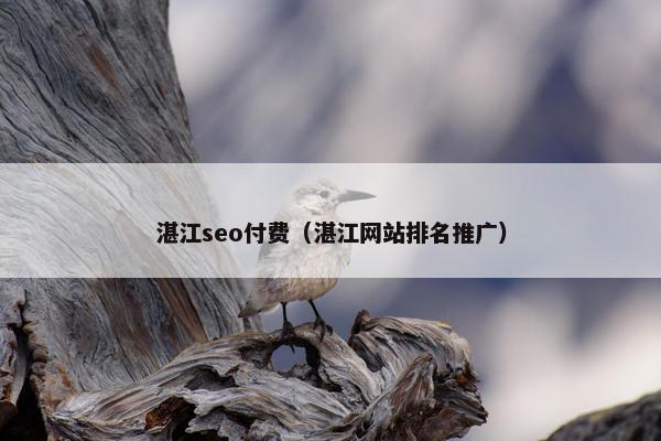 湛江seo付费（湛江网站排名推广）