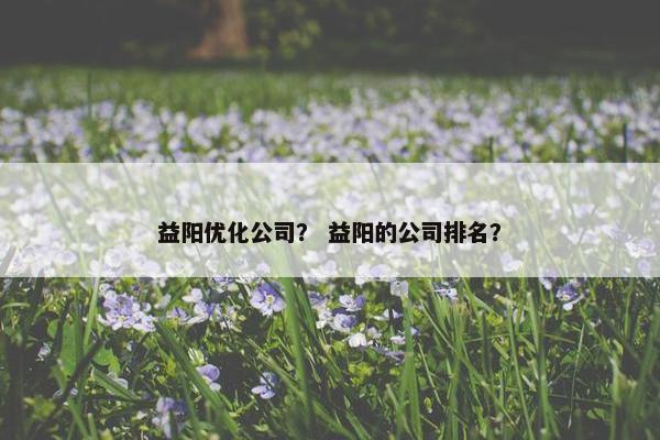 益阳优化公司？ 益阳的公司排名？