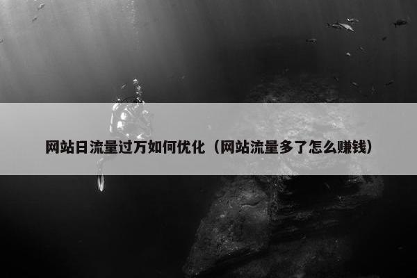网站日流量过万如何优化（网站流量多了怎么赚钱）