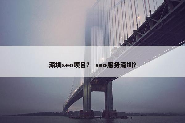 深圳seo项目？ seo服务深圳？