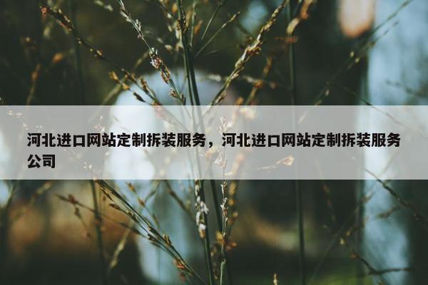 河北进口网站定制拆装服务，河北进口网站定制拆装服务公司