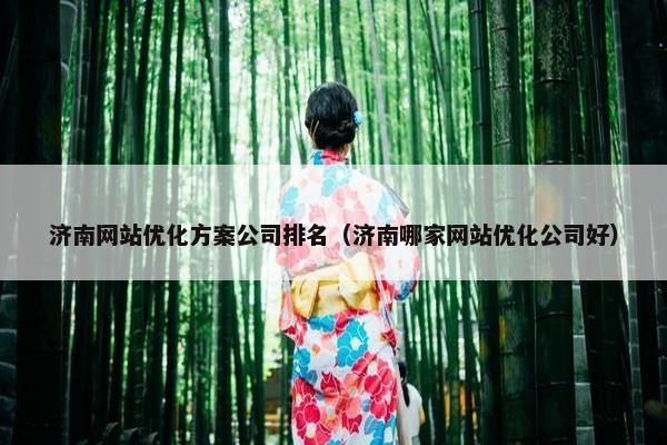 济南网站优化方案公司排名（济南哪家网站优化公司好）